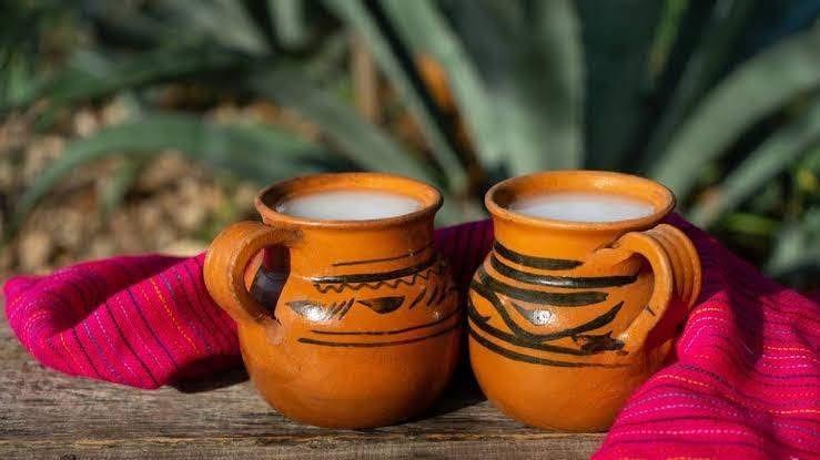 Pulque: La bebida tradicional mexicana con grandes beneficios para la salud. Foto: Portal Edomex