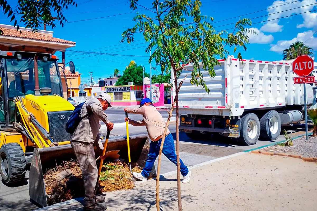 9 mil toneladas de basura recolectó el Ayuntamiento de La Paz en 2024. Fotos: Servicios Públicos Municipales.