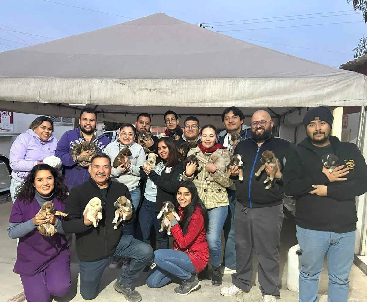 Las autoridades dieron a conocer que la Clínica Veterinaria Municipal está al límite, por ello, buscan que ciudadanos adopten. Foto: Vianca Treviño