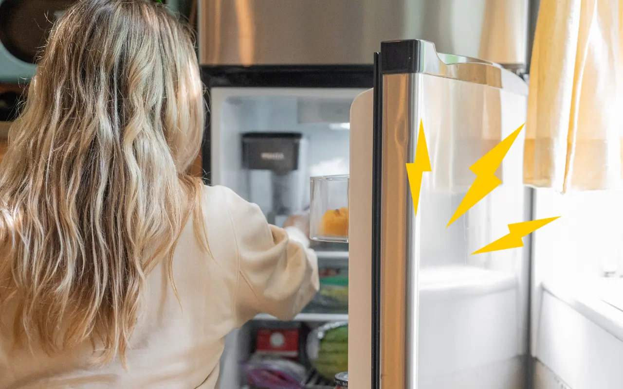 Con una planta de luz, podrás conectar tu refrigerador para que no se te echen a perder los alimentos en un apagón. Foto: Especial.