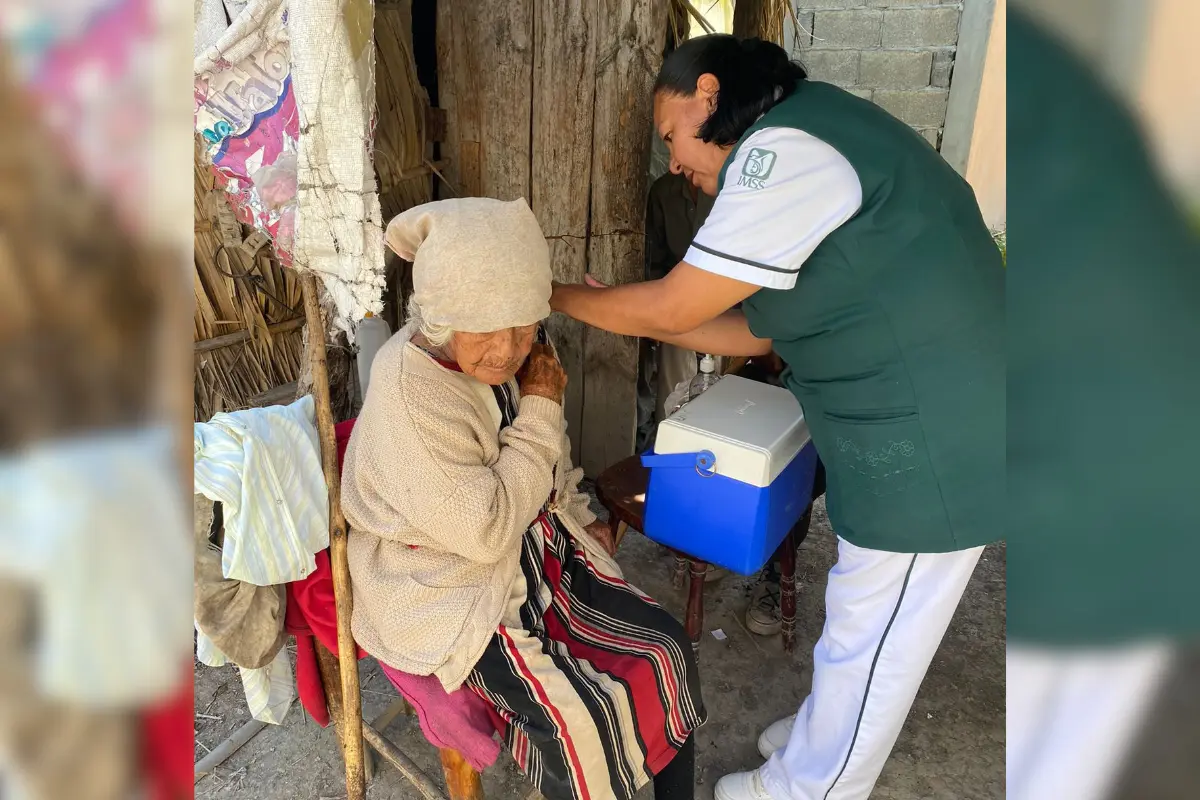 Vacúnate contra la influenza y Covid-19. Foto: IMSS-Bienestar