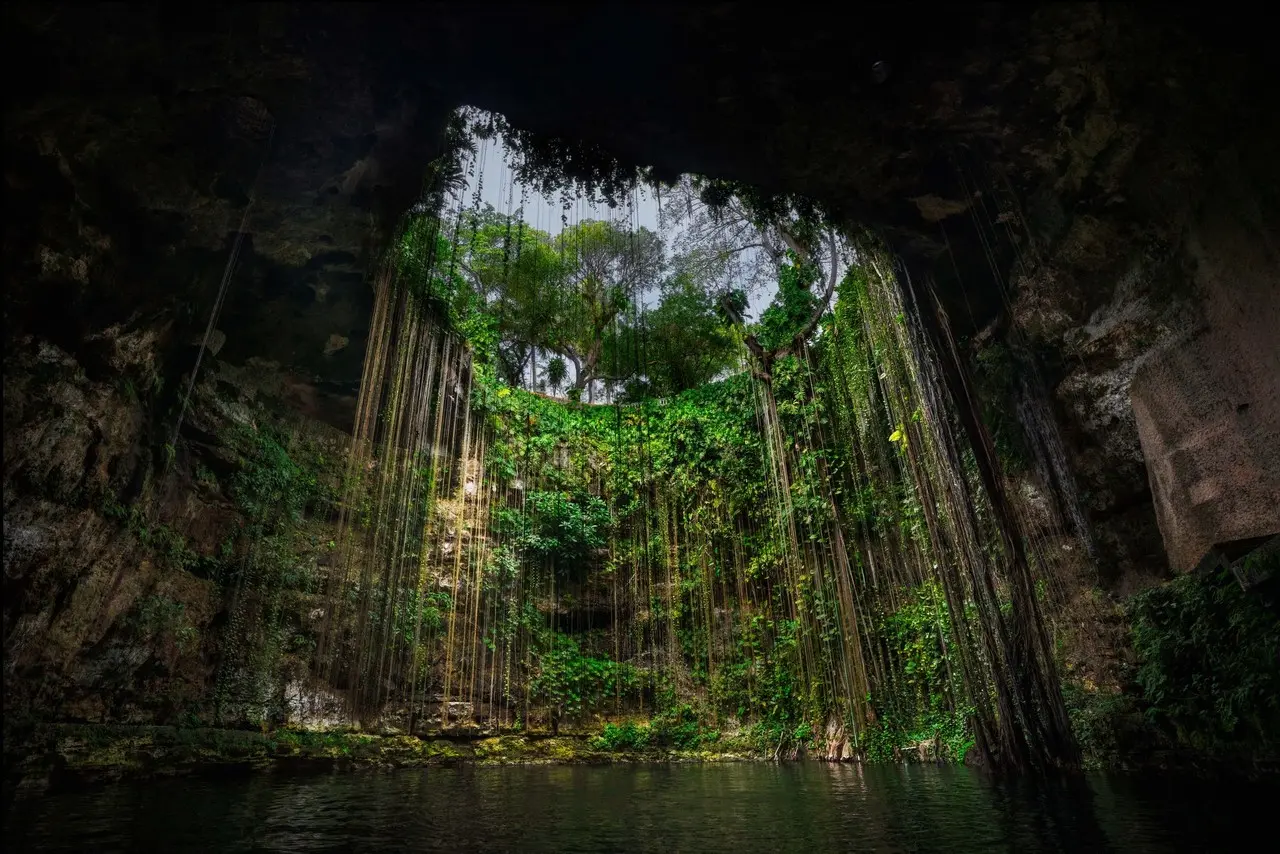 ¿Por qué es tan instrameable?. Foto: Intricate Explorer