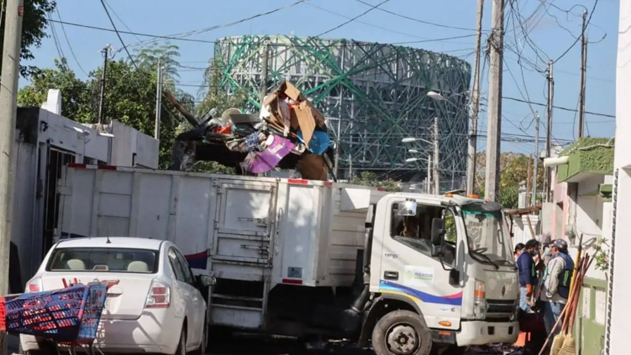 ¿Qué pasó con los animales que vivían entre la basura? Foto: Cortesía