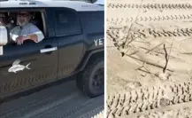 Extranjeros ingresan con vehículos a zona protegida en La Ribera y destruyen nidos de tortuga Extranjeros ingresan con vehículos a zona protegida en La Ribera y destruyen nidos de tortuga