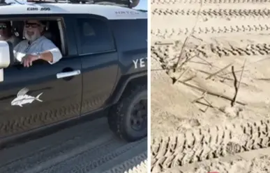 Extranjeros ingresan con vehículos a zona protegida en La Ribera y destruyen nidos de tortuga