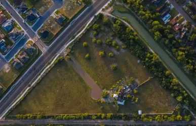 Los árboles nativos de Nuevo León y la clave para un entorno urbano sustentable