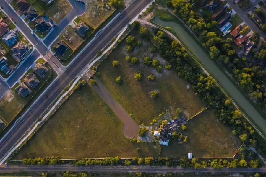 Los árboles nativos de Nuevo León y la clave para un entorno urbano sustentable