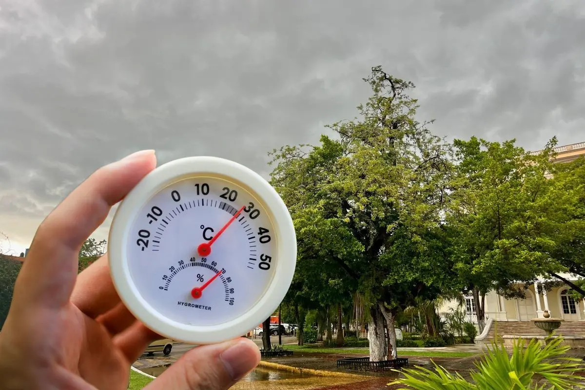 Esta jornada de martes se pronostican algunas lluvias ligeras y continuará el ambiente caluroso por la tarde.- Fuente Canva y archivo POSTA