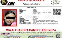 Solicitan el apoyo de búsqueda para la menor Mia Alejandra Campos Espinoza