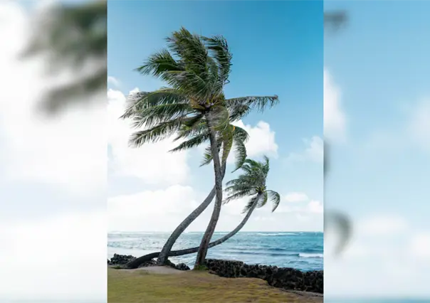 Llega nuevo frente frío con bajas temperaturas; saque las chamarras para los siguientes días