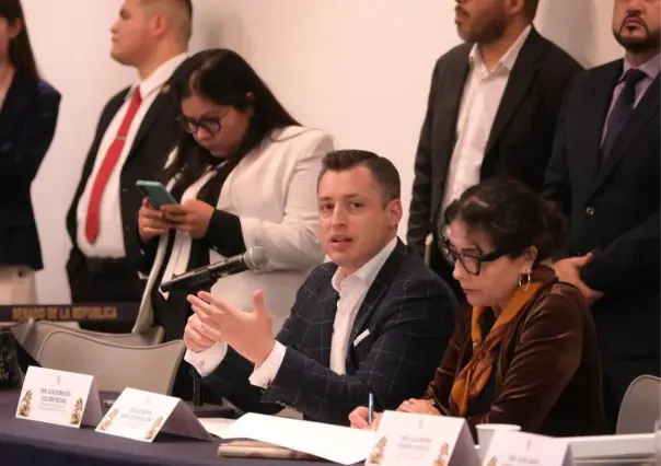 Luis Donaldo Colosio cuestiona reforma electoral en el Senado