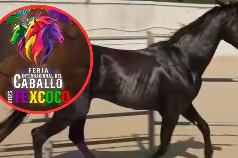 Feria Internacional del Caballo Texcoco 2025: estos cantantes se presentarán en el Palenque