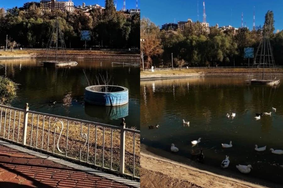 ¿Cuántos parques públicos tiene Durango y por qué son ideales para un día de campo?