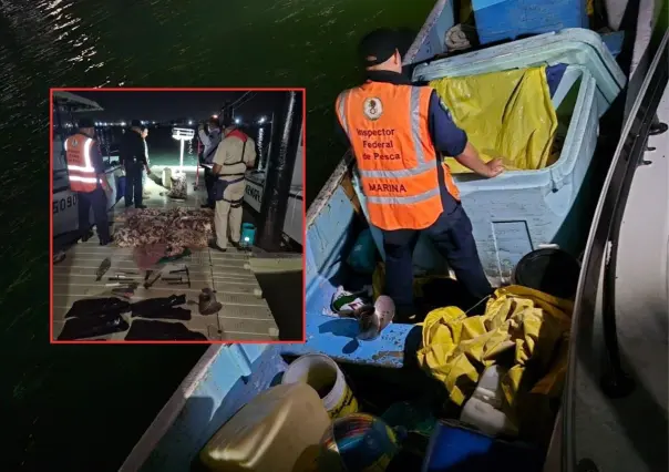 Autoridades realizan certero golpe a la pesca furtiva en Yucatán