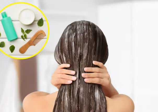 Con esta planta medicinal lograrás una larga cabellera y muy sana