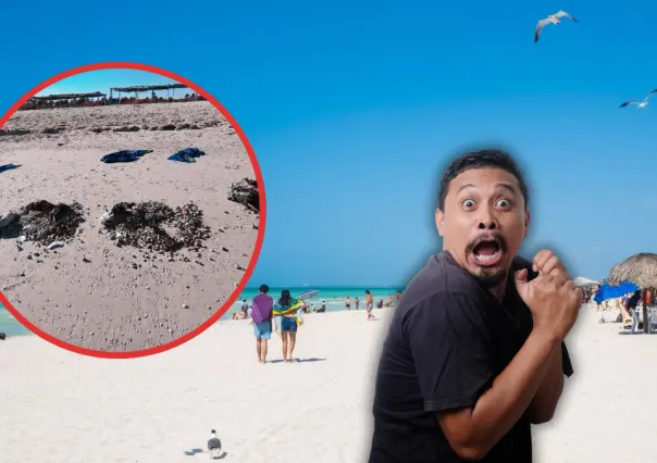 ¿Ritual en playa de Sisal? Hallan aves muertas a la orilla del mar