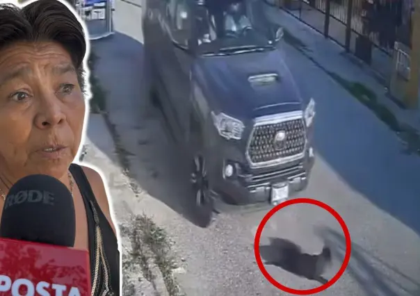 Vecinos exigen justicia tras atropello de una perrita en Kanasín