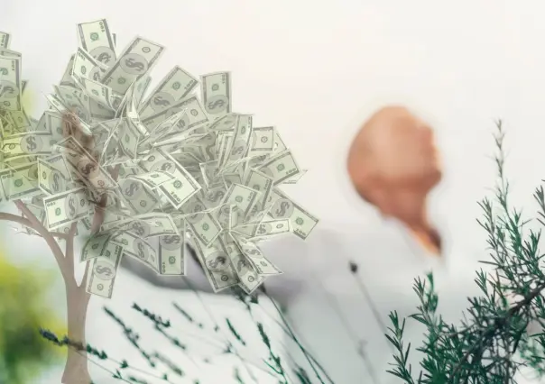 El ritual del Feng Shui para que el dinero y la abundancia entren a tu hogar