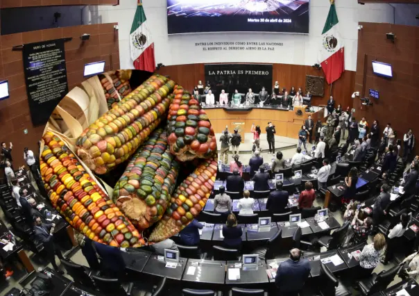 Senado aprueba reforma para prohibir el maíz transgénico en México; pasa a Congresos locales