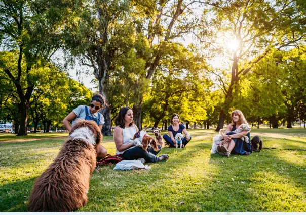 Estos son los mejores parques para disfrutar con tu mascota por el puente largo en Nuevo León