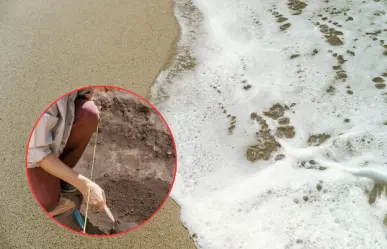 Hallazgo de restos humanos frente a CICIMAR ¿Restos prehispánicos o víctimas del huracán Liza?