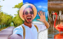 ¿Qué es Vive Telchac y qué beneficios se esperan para el puerto? ¿Qué es Vive Telchac y qué beneficios se esperan para el puerto?