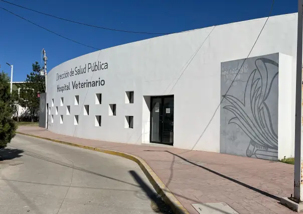 3 razones por las que el Albergue Animal de Durango puede sacrificar a una mascota