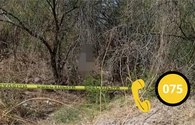 Suicidio en Durango: se registran 3 casos en menos de 24 horas y ya van 20 en el 2025