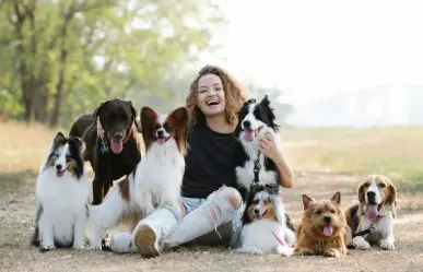 Conoce la guía completa para adoptar mascotas en Nuevo León con sus requisitos