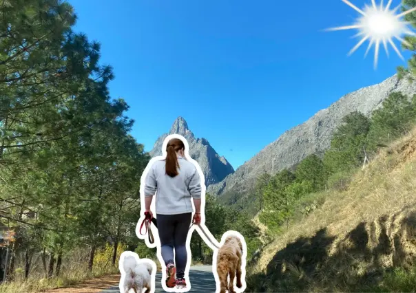 Descubre la Sierra de Santiago y disfruta del senderismo junto a tu perro