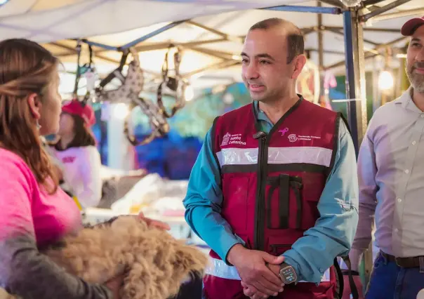 Gobierno de Santa Catarina ofrece más de 250 servicios para el bienestar animal