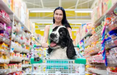 Monterrey Pet Friendly descubre dónde ir de shopping con tu mascota