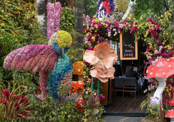 ¡Prepárate! El Festival de Flores y Jardines Polanco 2025 está por llegar