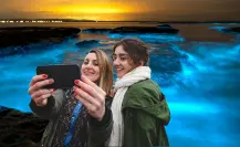 El Saltito: la playa ideal para ver bioluminiscencia en BCS