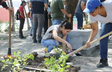 Contaminación ambiental en Saltillo: ¿qué medidas se están tomando?