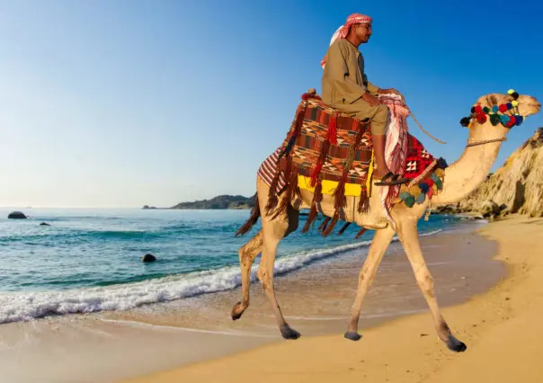 3 tours poco conocidos en BCS que ofrecen una experiencia única