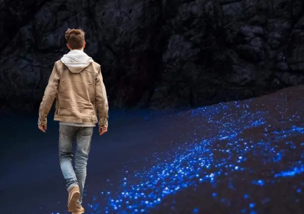Bioluminiscencia en La Ventana: el fenómeno natural que debes ver