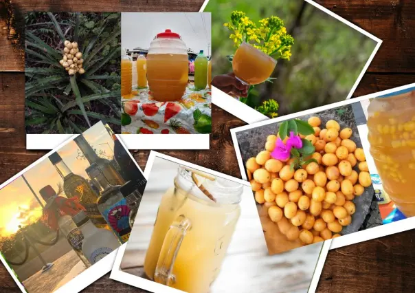 Estas son las bebidas más tradicionales en Tamaulipas, ¿cúal tomas tú?