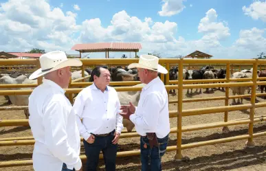 Yucatán impulsa el campo y la ganadería con programas de modernización