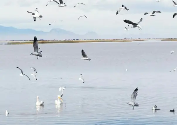 La impresionante laguna de Durango que está entre las más importantes de México
