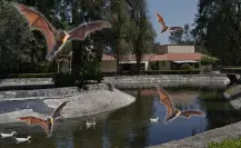¡Noche de murciélagos en Xochimilco! Conoce el precio, fecha, actividades y mucho más