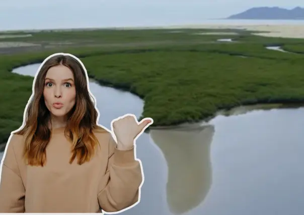 Nat Geo revela desde el aire la belleza de los manglares de Bahía Magdalena en BCS