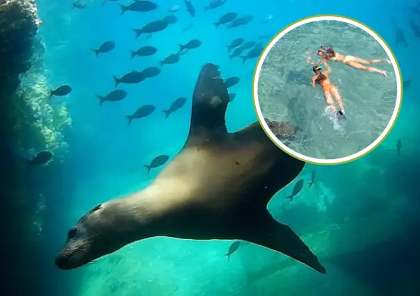 ¿Por qué la isla Espíritu Santo es la mejor opción para el snorkel en La Paz?