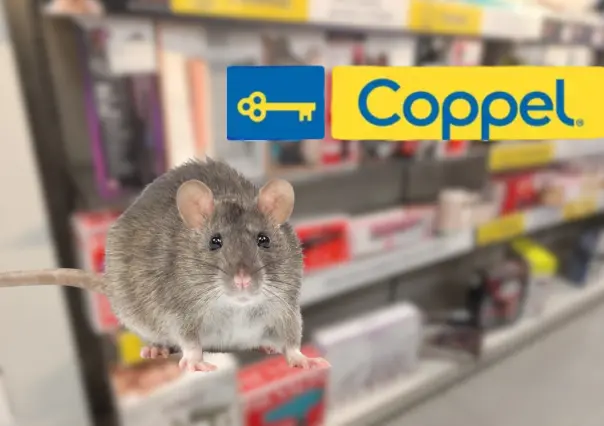 Plaga de ratas sorprende a clientes de Coppel  en este municipio de Tamaulipas