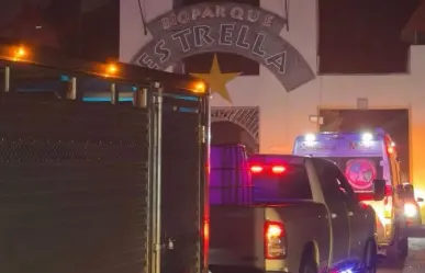 Rescatan a 4 leones en García y los trasladan al Bioparque Estrella