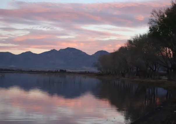 Cómo llegar a la laguna de Durango que está entre los humedales más importantes de Norteamérica