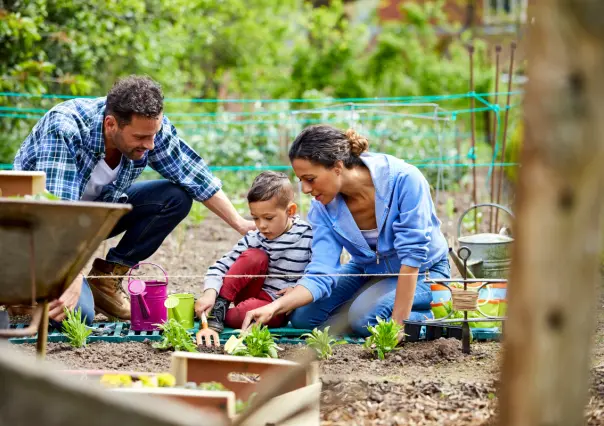 ¿La jardinería es benéfica para la salud, según la ciencia?