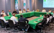 Partido Verde en Coahuila va sin alianzas en elecciones 2026
