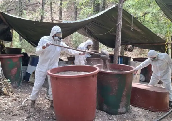 Incautan casi 100 millones de pesos en droga y precursores en la Sierra de Durango