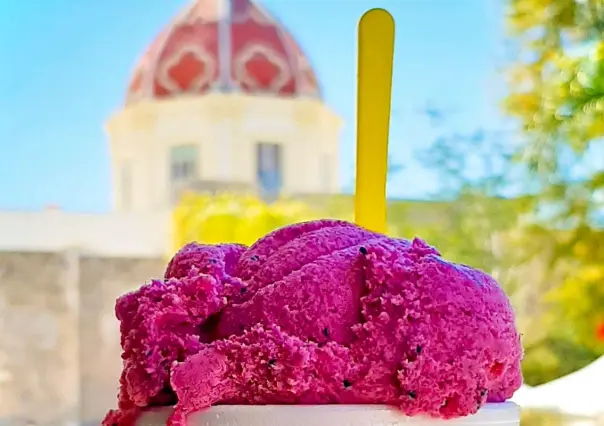 Estas son las exóticas nieves de cactus que se elaboran en Tamaulipas